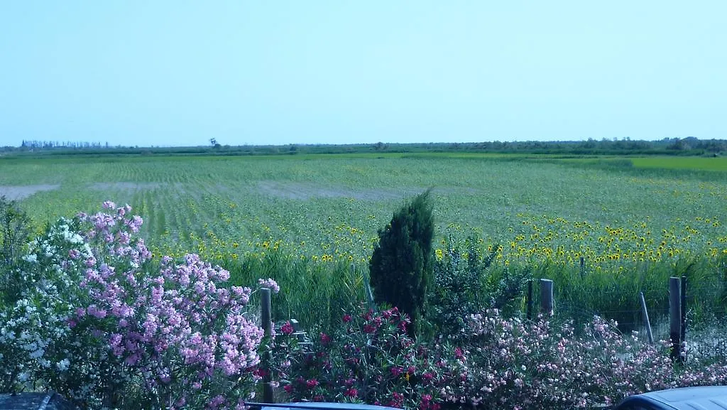 Soleil De Camargue Villa Arles
